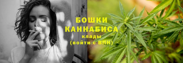сатива Дмитров