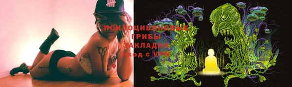 сатива Дмитров