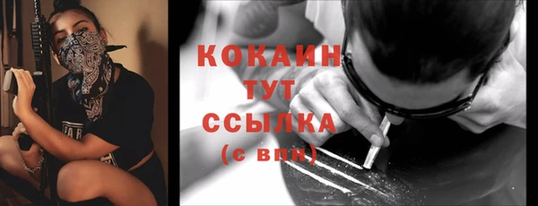 бошки Дмитриев