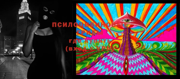 гидропоника Дмитровск