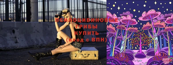бошки Дмитриев