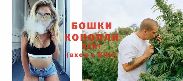 сатива Дмитров
