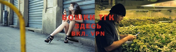 сатива Дмитров