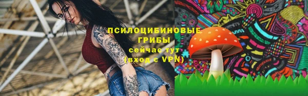 гидропоника Дмитровск