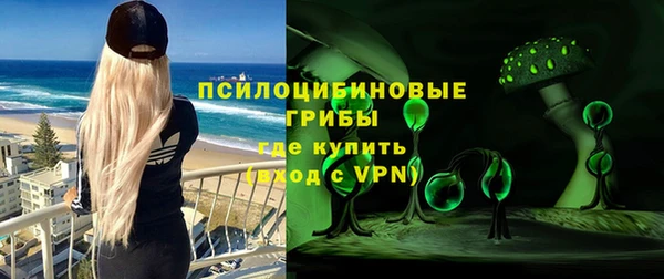 сатива Дмитров