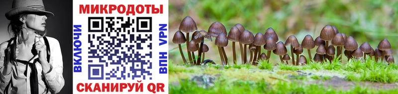 Купить  Хадыженск  Псилоцибиновые грибы Psilocybine cubensis 